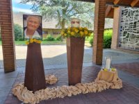 das zu meldende Bild