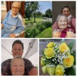 das zu meldende Bild