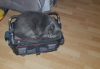 ein Bild aus dem Album