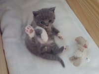 ein Bild aus dem Album