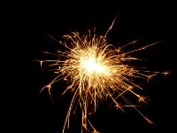 das zu meldende Bild