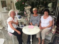 das zu meldende Bild