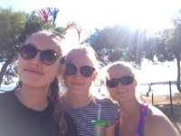 das zu meldende Bild