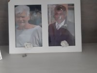 das zu meldende Bild