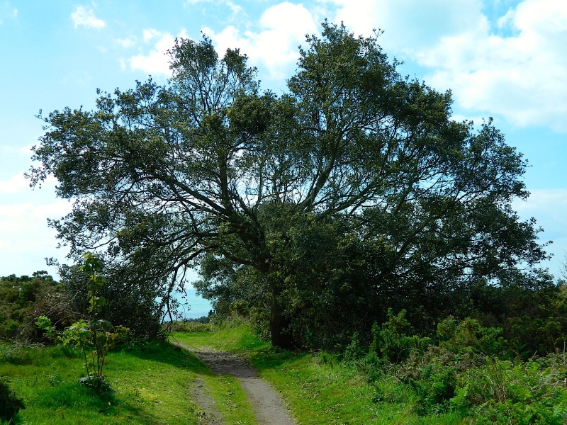 Gedenkseite F r Uwe Lindner Bestattungshaus Sch fer Kretschmer GmbH