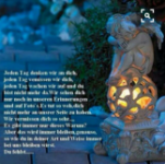 das zu meldende Bild